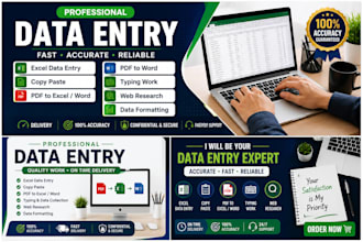 do accurate data entry, excel data entry, copy paste and PDF conversion