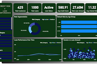 analyze financial data and build credit risk dashboards