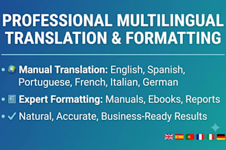 provide accurate technical document and manual translation