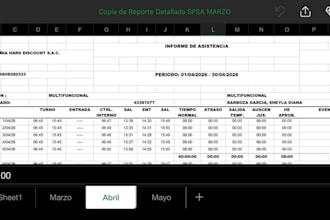 organizo, redacto y corrijo tus documentos en word y excel
