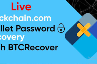 provide blockchain analytics and wallet activity reports professionally