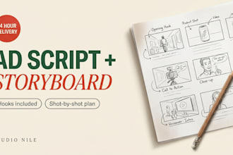 write your video ad script and shot by shot storyboard in 24 hours