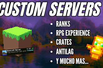 setup a professional custom minecraft server with plugins