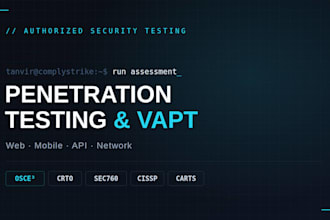 perform penetration testing vapt for your website,infra API mobile etc