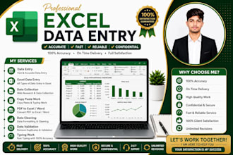 create professional microsoft excel spreadsheets, dashboards and reports