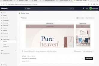 create professional shopify store design 2 0