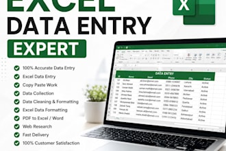 professional excel data entry specialist