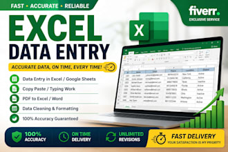 do microsoft excel data entry, copy paste, PDF to excel and typing