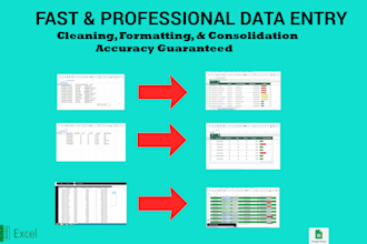 perform professional data entry and spreadsheet cleaning