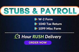 prepare stubs, form w2 and form w3, 1099 and 1040