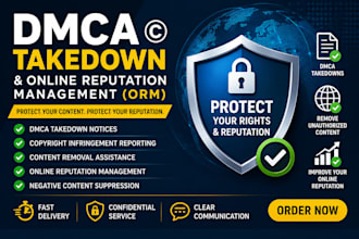 provide professional dmca takedown and online reputation management service