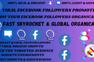 do professional facebook page promotion for organic followers growth using ads