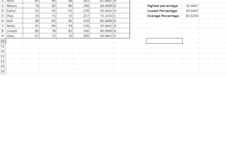 create professional microsoft excel spreadsheets, formulas and dashboards