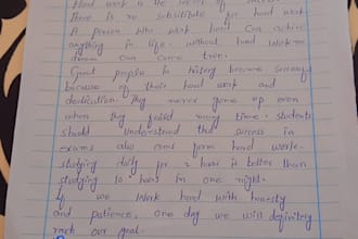 do neat handwriting to word, excel and PDF typing assignment