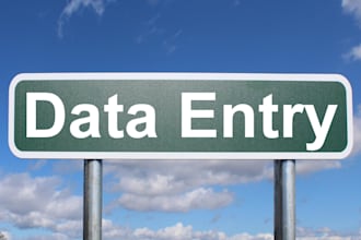 do professional data entry copy paste and web research work