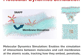 perform molecular dynamics simulations for membranes and proteins