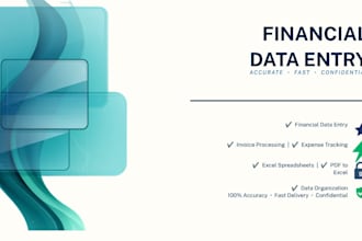 do accurate financial data entry in excel