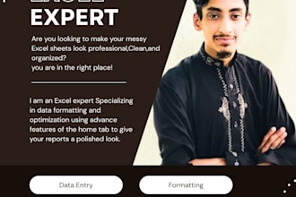 do expert excel data entry and data formatting work