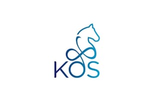 design horse sport club logo