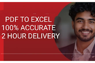 do PDF to excel, web research and data entry in 12 hours