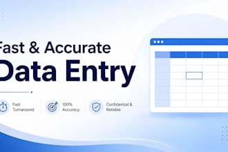 accurately do data entry and excel spreadsheet work