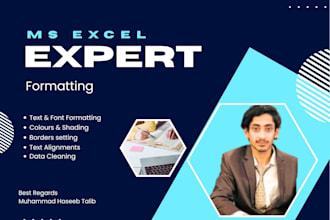 do expert excel data formatting work
