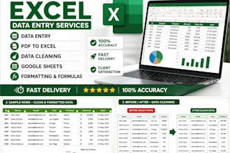 microsoft excel data entry, cleaning, formatting, PDF to excel and google sheets