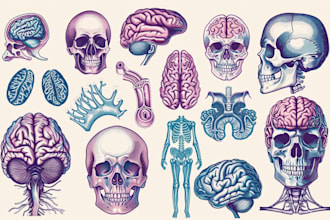 make scientific illustrations for you