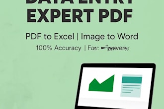 do accurate data entry, typing, excel and PDF to word