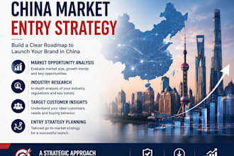 create a china market entry strategy for your brand
