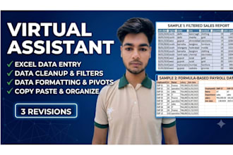 do microsoft excel data entry, formatting, pivot tables and charts
