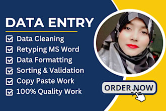 be your ms excel expert for data formatting, sorting, data entry, ms word typing