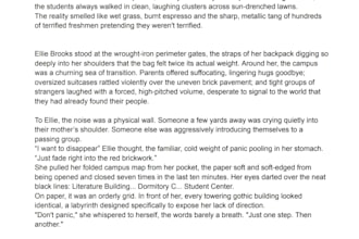 write an engaging fiction or romance ebook