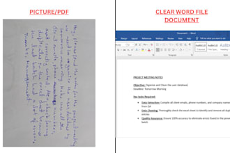 do precise data entry, copy typing, and image to text conversion
