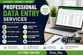 do accurate data entry, excel data entry an copy paste