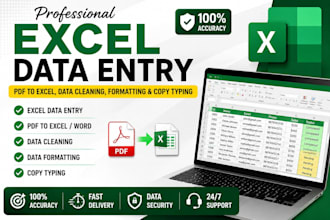 do professional excel data entry, PDF to excel, data cleaning, formatting