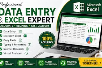 do accurate entry and excel tasks