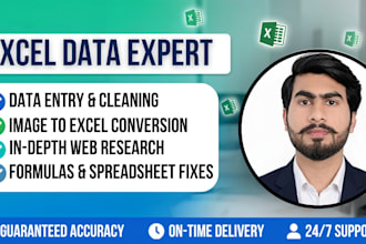 excel data entry, image to excel, cleaning, and web research