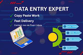 do professional data entry and fast typing work