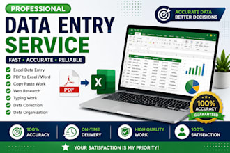do microsoft excel data entry, formatting and speed sheet