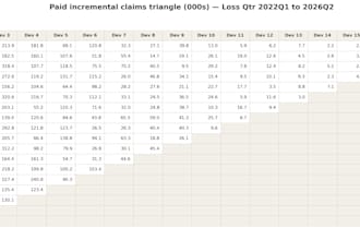 do actuarial pricing, ifrs4 and 17 reserving, insurance analytic, data analysis