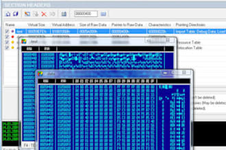 decompile binary dll exe apk ea to code with reverse engineering