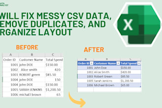 clean and format excel data, remove duplicates
