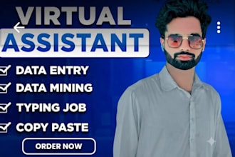 professional data entry and video editing tasks