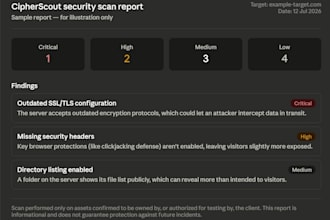 scan your system for vulnerabilities and give a report