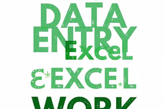 do professional data entry, excel and copy typing