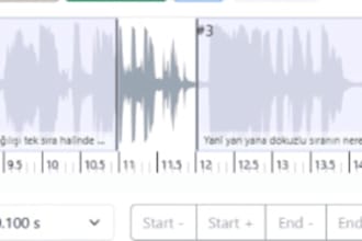 do audio segment and transcription