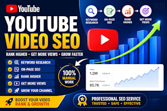 professionally optimize your youtube videos with SEO