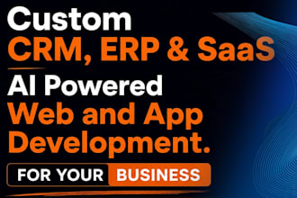 develop custom crm, erp, lms, saas web application as software developer