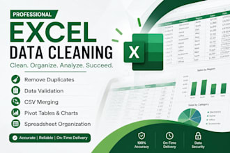 clean, organize and format your excel and CSV data